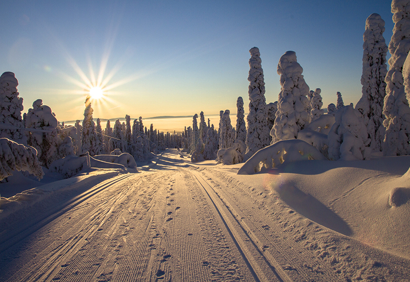 Stage céramique Martigues