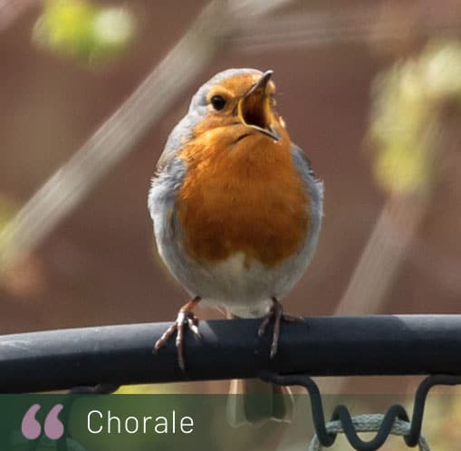 Chorale-nb Cours chorale